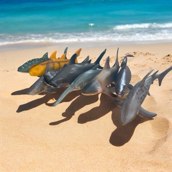 Shark lot - Picture 1 of 5